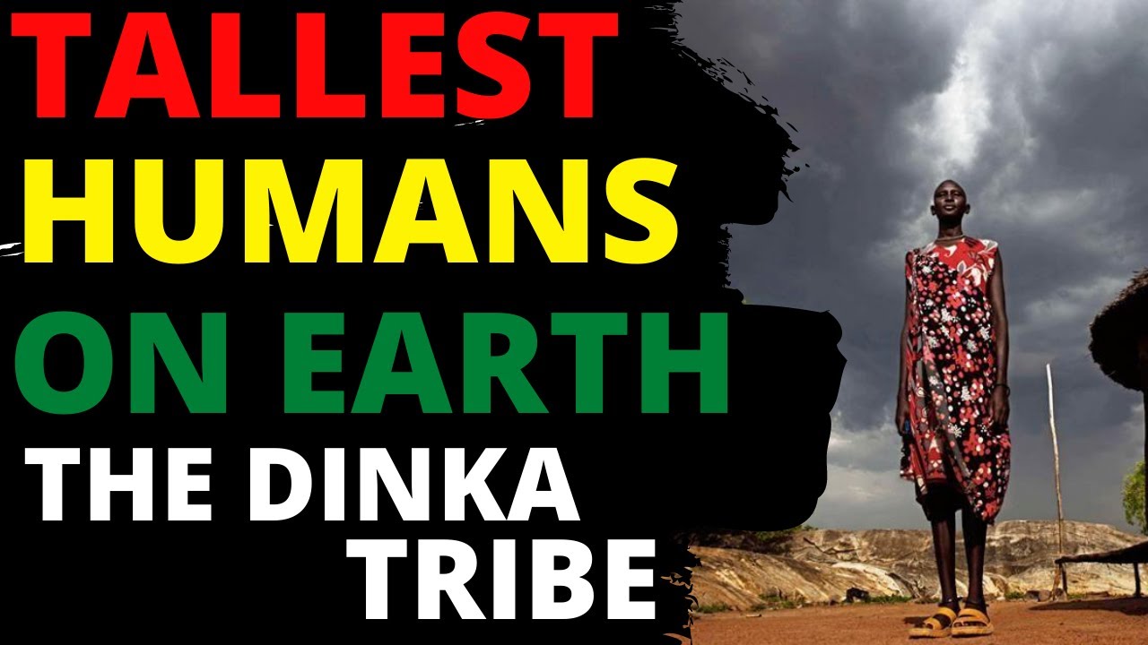 Meet The Dinka People The Tallest Tribe In The World Gambakwe Media