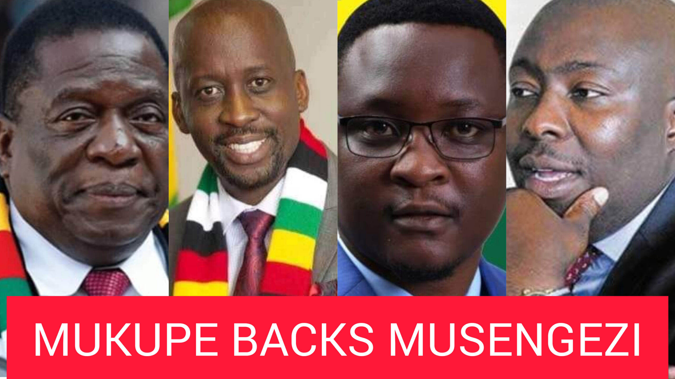 mukupe-supports-sybeth-musengezi-court-case-challenging-mnangagwa